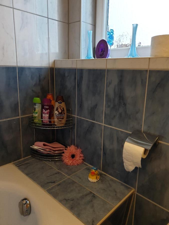 Schoene Grosse Ferienwohnung Im Mittelrheintal Nahe Loreley Bornich Zewnętrze zdjęcie